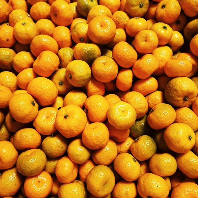 大和橘の果実